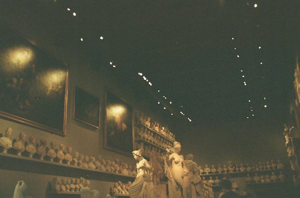 Préserver les Espèces Menacées : Un Impératif pour la Santé de Notre Écosystème