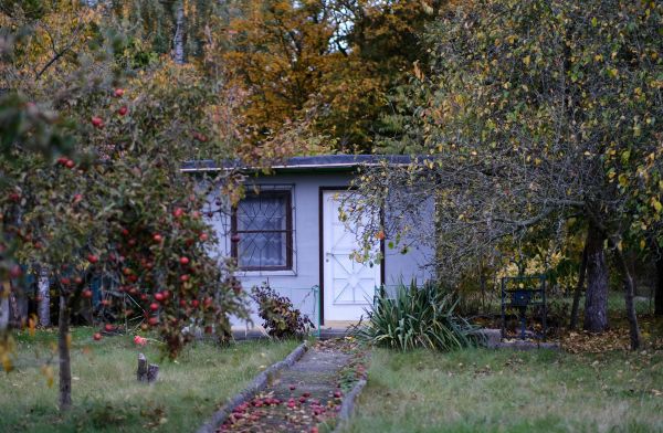 Abris jardin : intermède pratique pour sublimer votre extérieur !